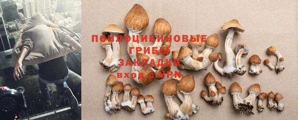альфа пвп Касимов