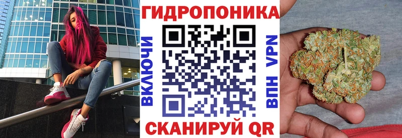 Конопля планчик  сколько стоит  кракен зеркало  Северск 